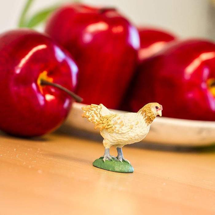 Safari Ltd - Ameraucana Chicken