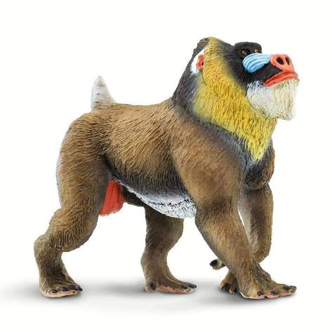 Mandrill