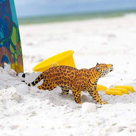 Jaguar (Skala: 1:6)
