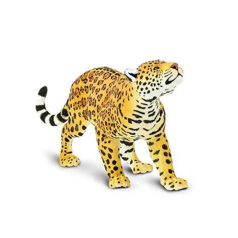 Jaguar (Skala: 1:6)