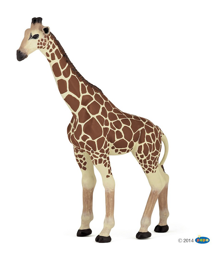 Giraff