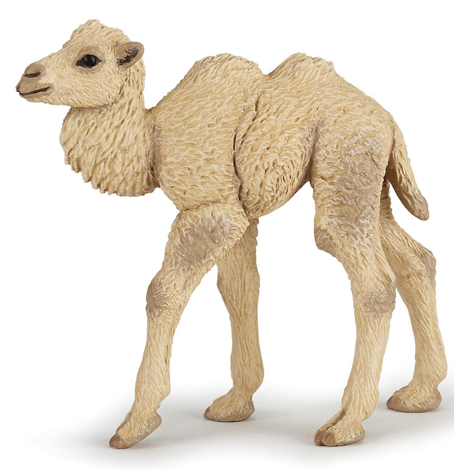Papo - Kamel kalv
