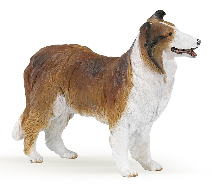 Papo - Collie