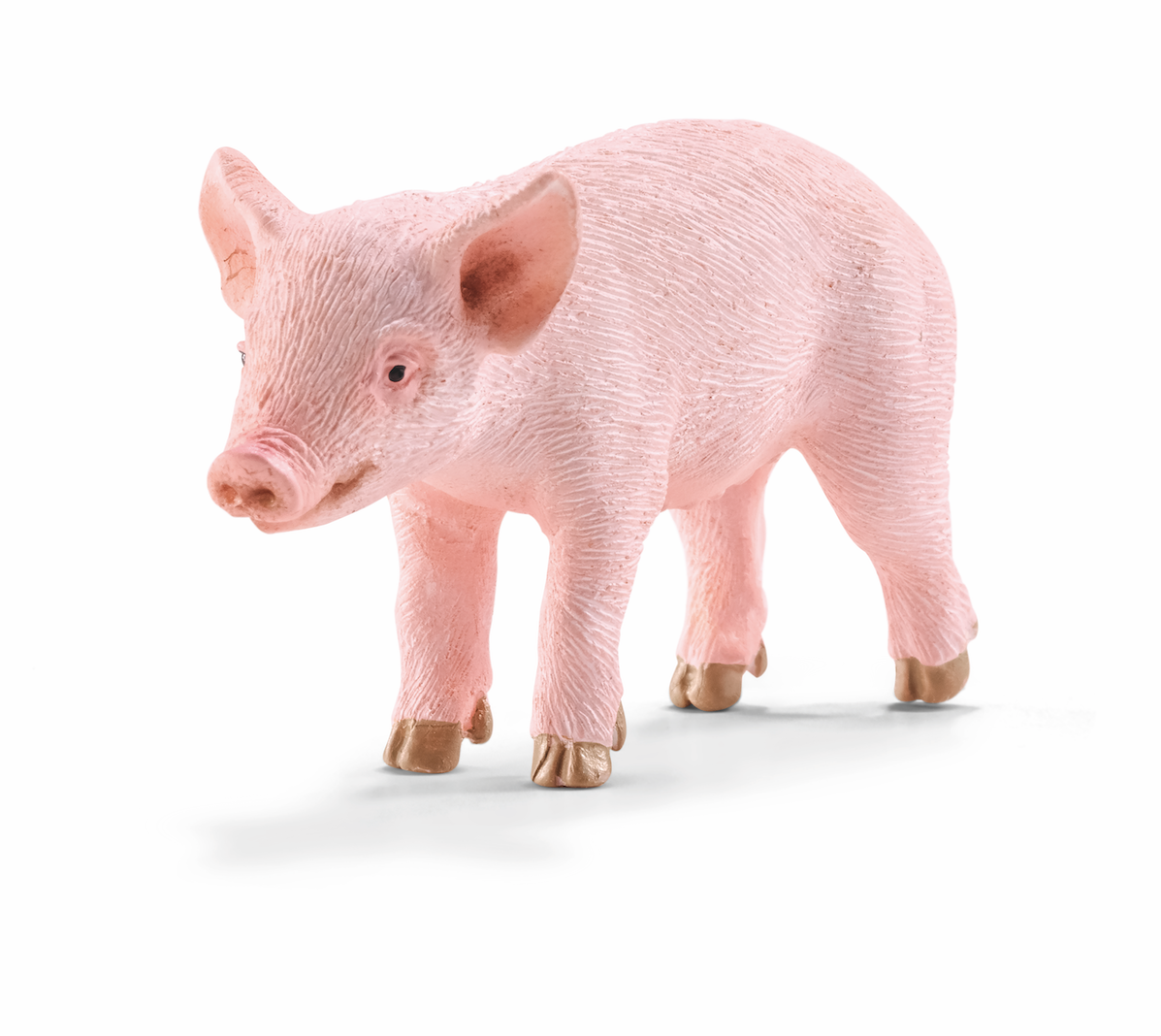 Griskulting, stående