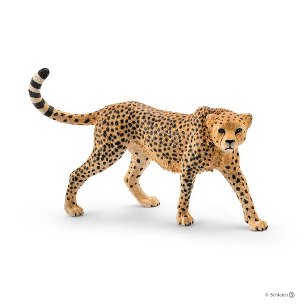 Schleich - Gepardhona