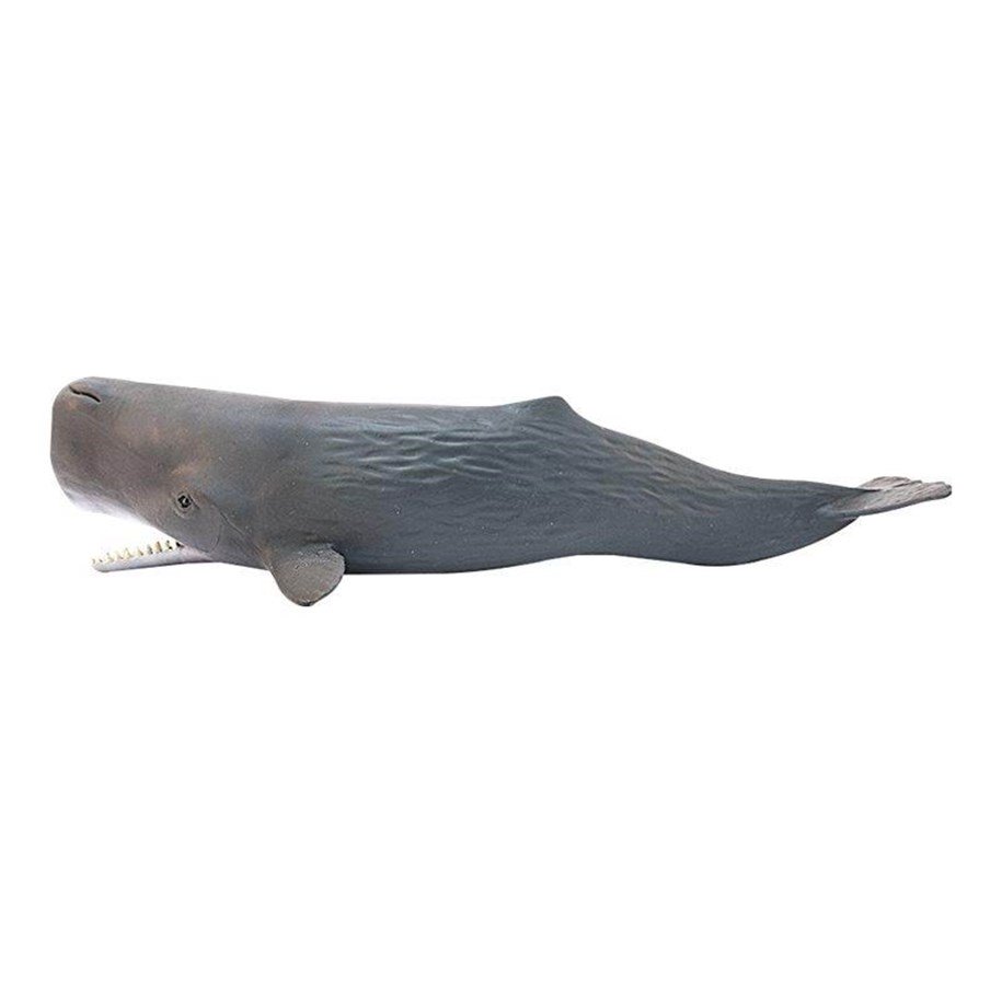 Kaskelot