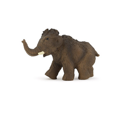 Mammoth cub