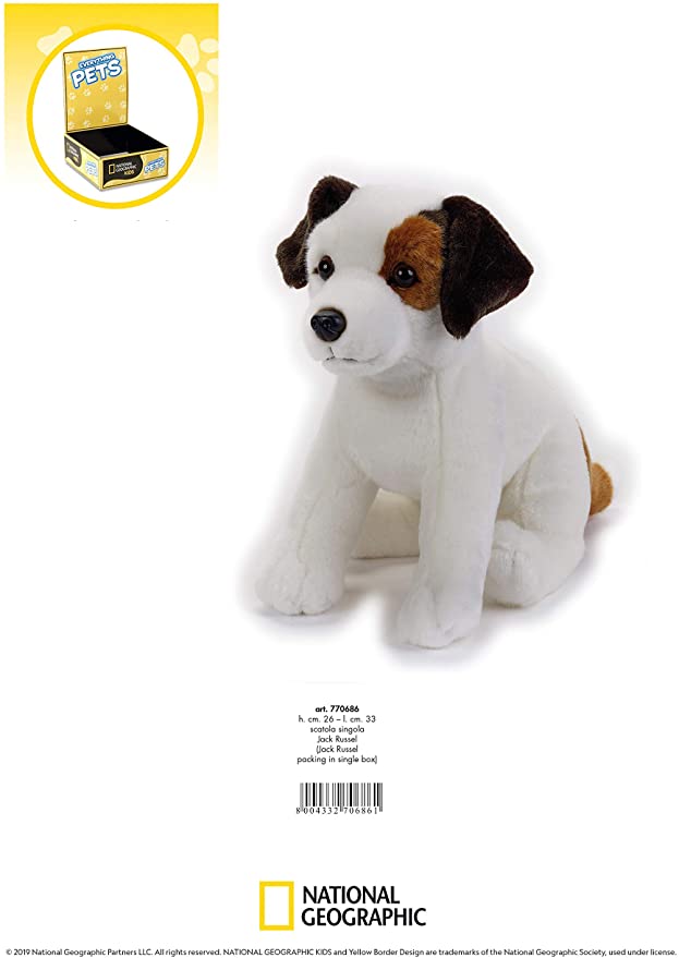 National Geographic Kids: Jack Russel Terrier