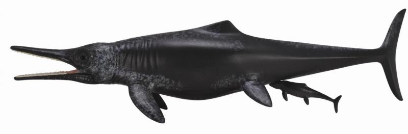 CollectA - Temnodontosaurus Platyodon, föder