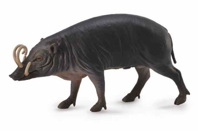 CollectA - Babirusa