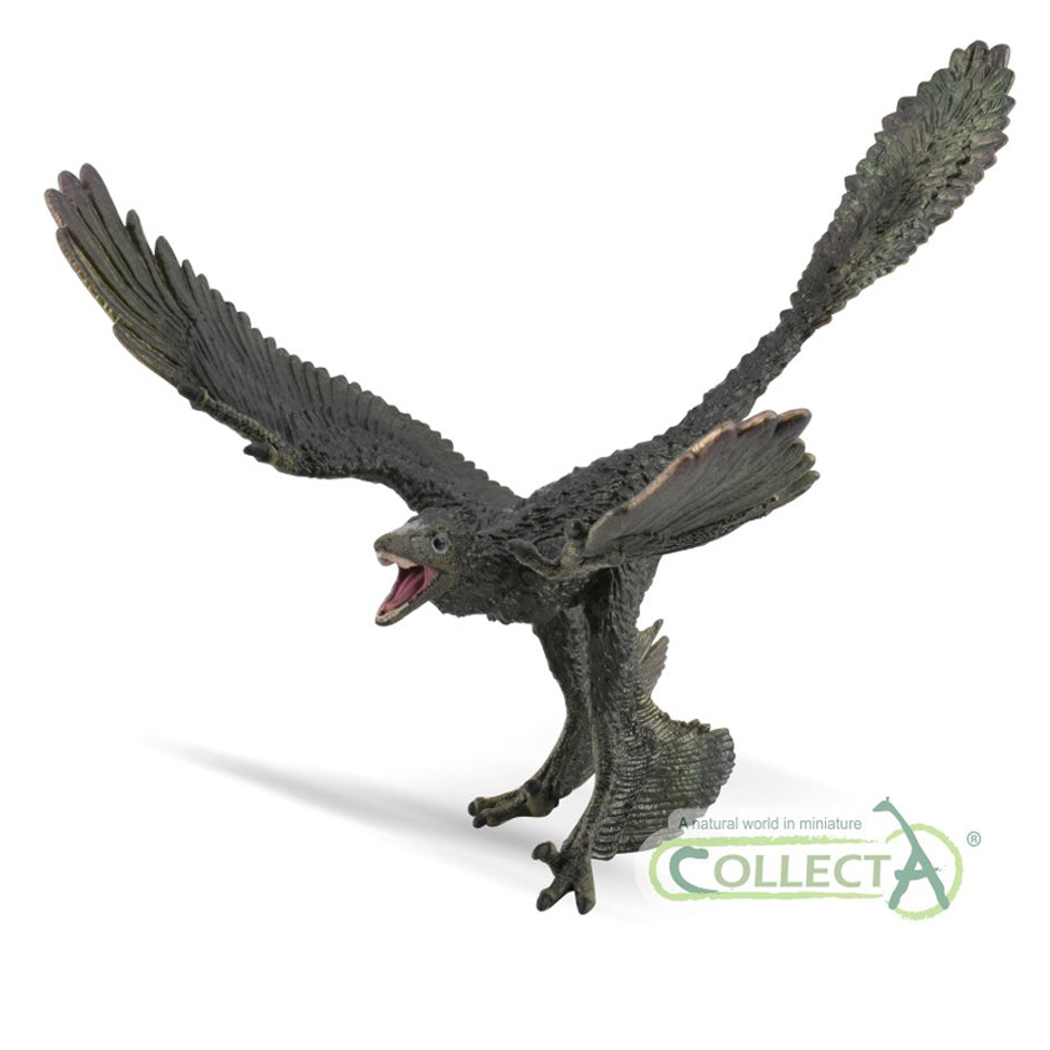 CollectA - Microraptor - Deluxe