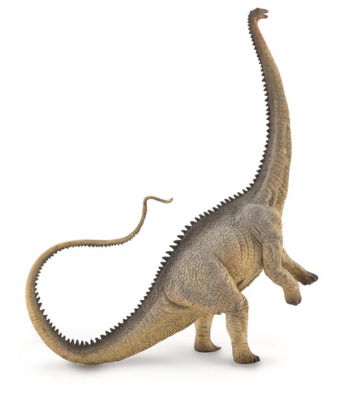 CollectA - Diplodocus grå
