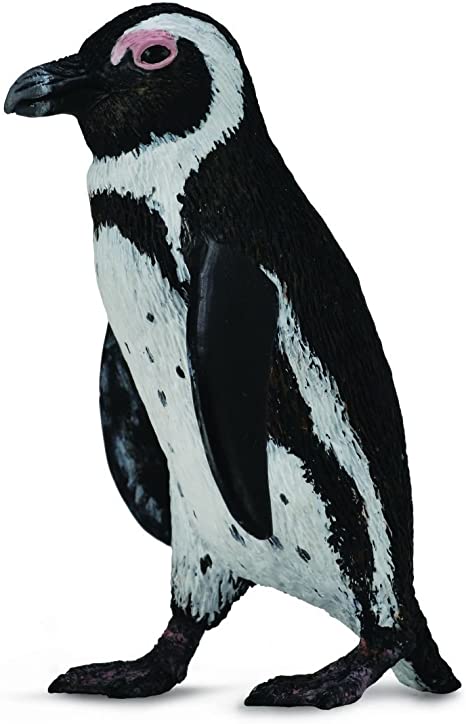 CollectA - South African Penguin