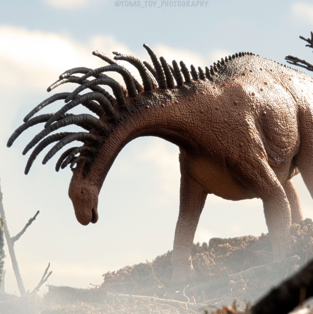 CollectA - Bajadasaurus Deluxe skala 1:40