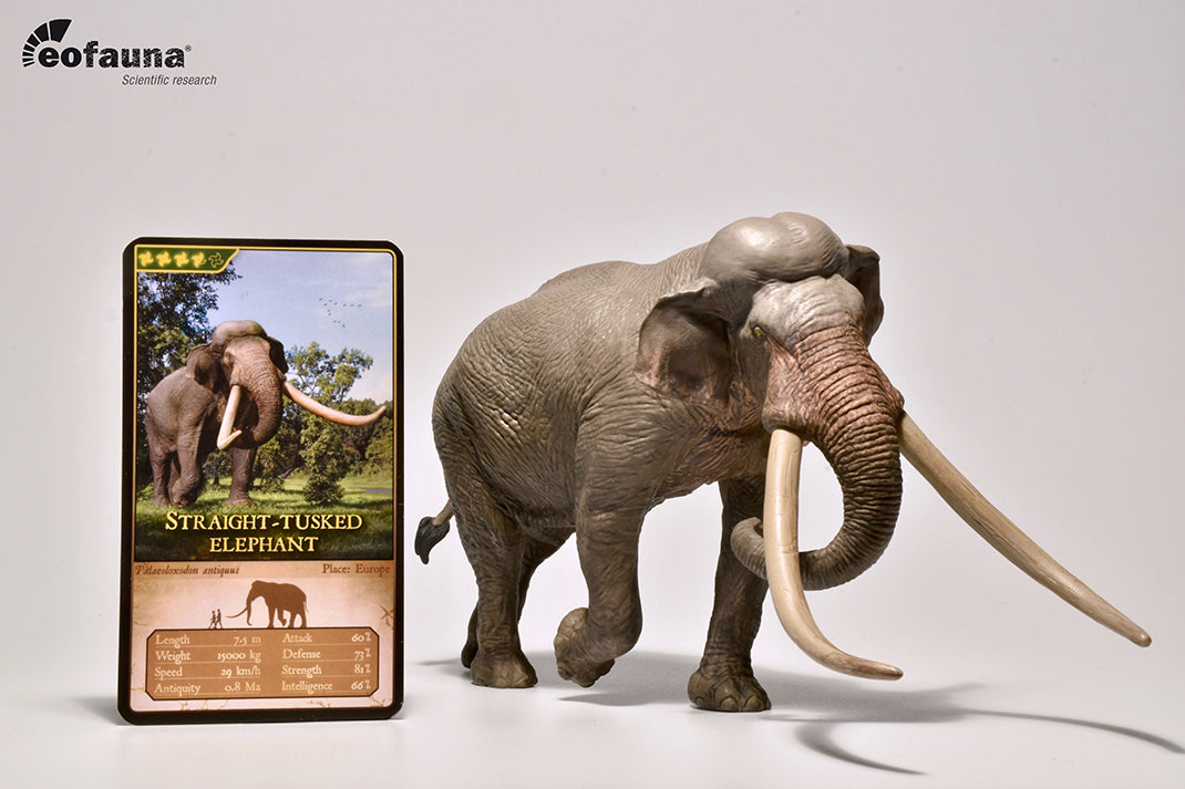 Eofauna - Palaeoloxodon Elefant (Straight-tusked elephant)