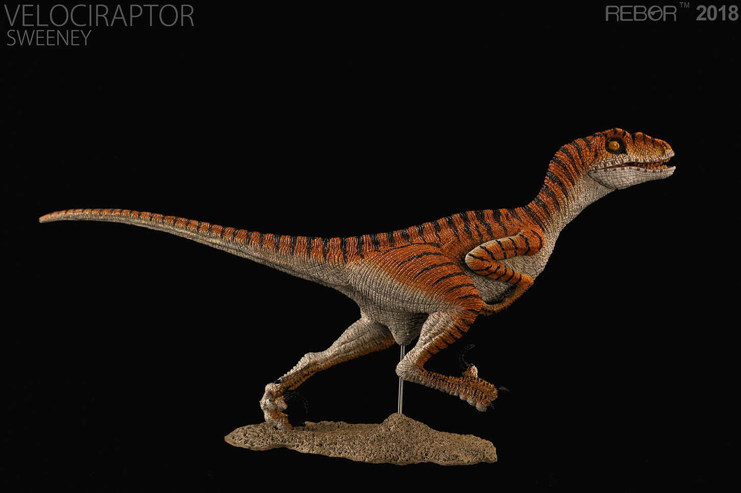 REBOR 1:18 Velociraptor Sweeney