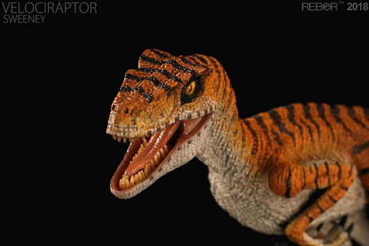 REBOR 1:18 Velociraptor Sweeney