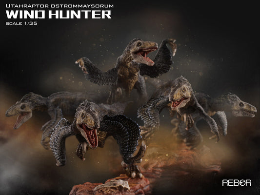 REBOR Wind Hunter Lenticular 3D poster (3D kort)