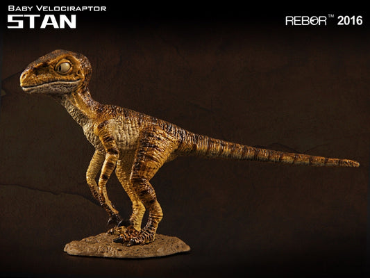 REBOR 1:18 Baby Velociraptor Museum Class Replica Stan