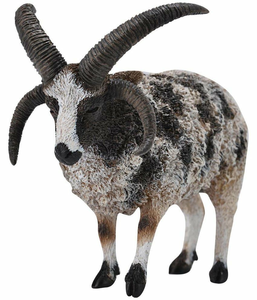 CollectA - Jacobsfår