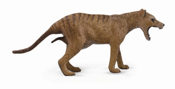 CollectA – Pungvarg (hona) – Thylacine / Tasmanian Tiger
