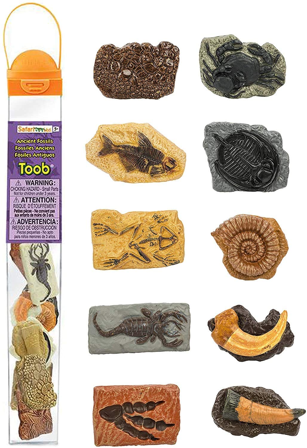 Ancient Fossils TOOB®