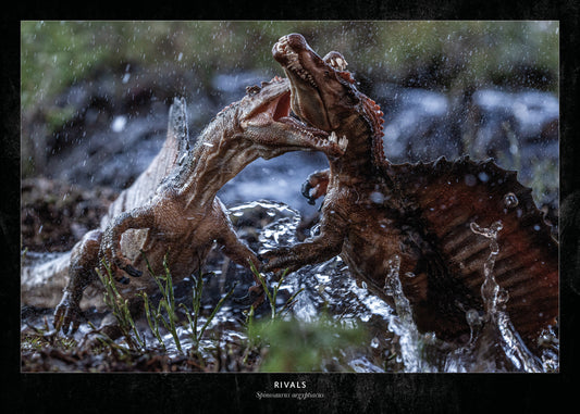 Rivals - Premium Poster