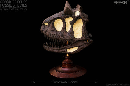 REBOR Oddities Fossil Studies Carnotaurus Sastrei Museum Class Skull Replica