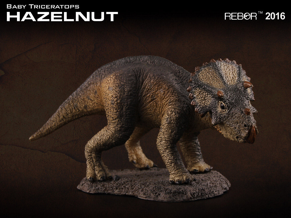 REBOR 1:35 Baby Triceratops Museum Class Replica Hazelnut