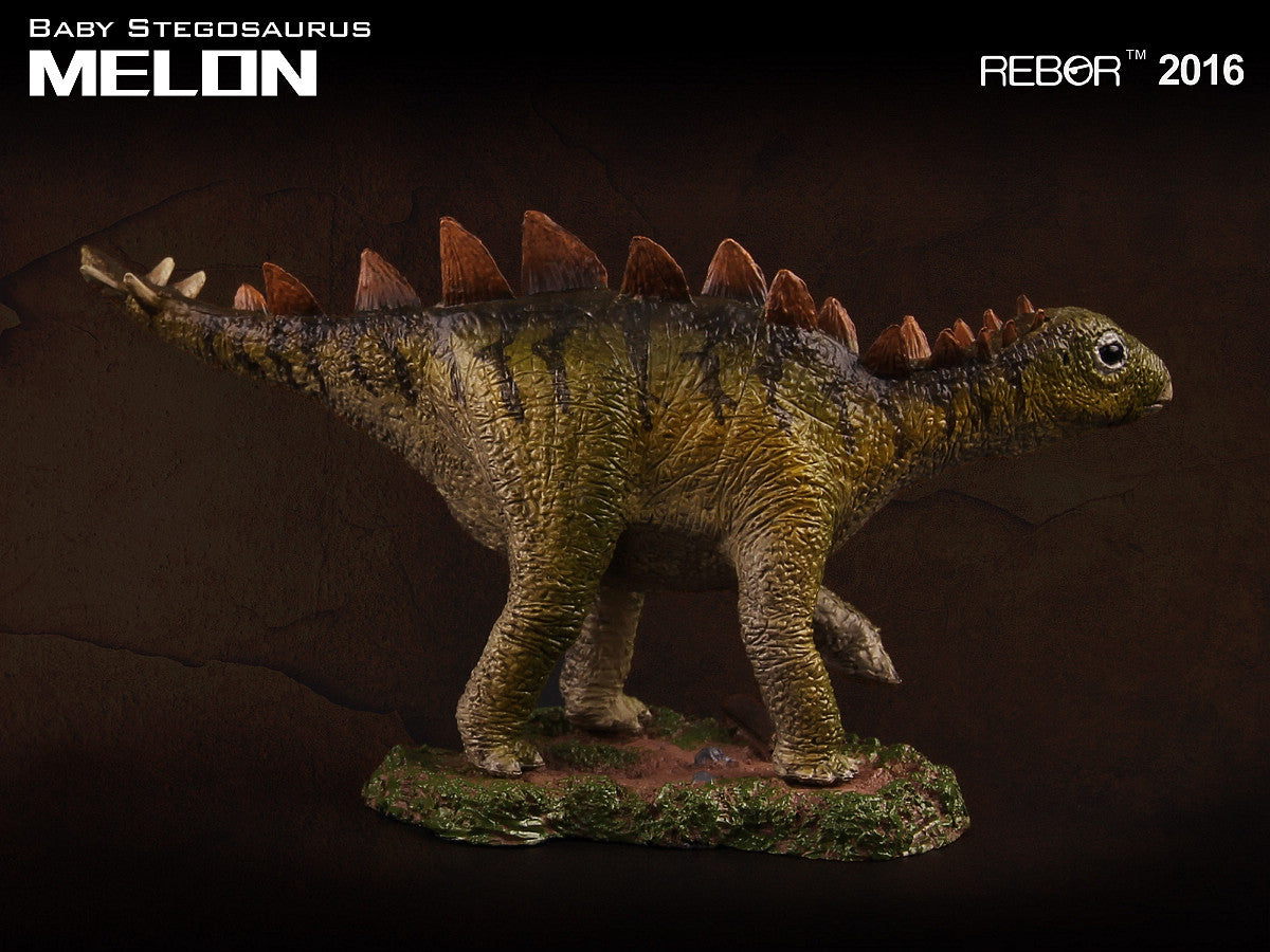 REBOR 1:35 Baby Stegosaurus Museum Class Replica Melon
