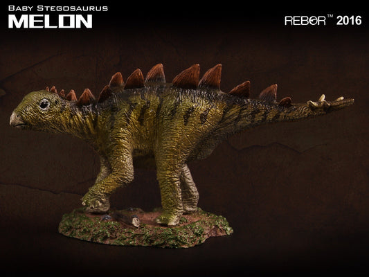 REBOR 1:35 Baby Stegosaurus Museum Class Replica Melon