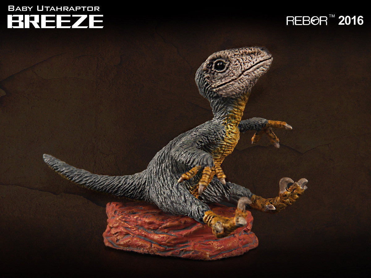 REBOR 1:35 Baby Utahraptor Museum Class Replica Breeze