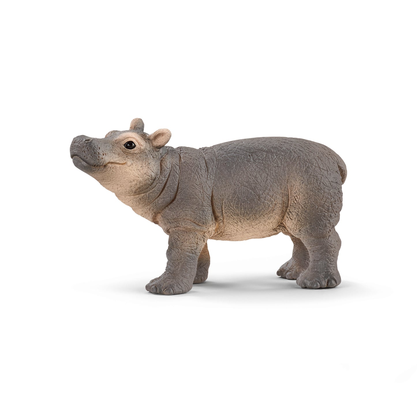 Schleich - Flodhästunge