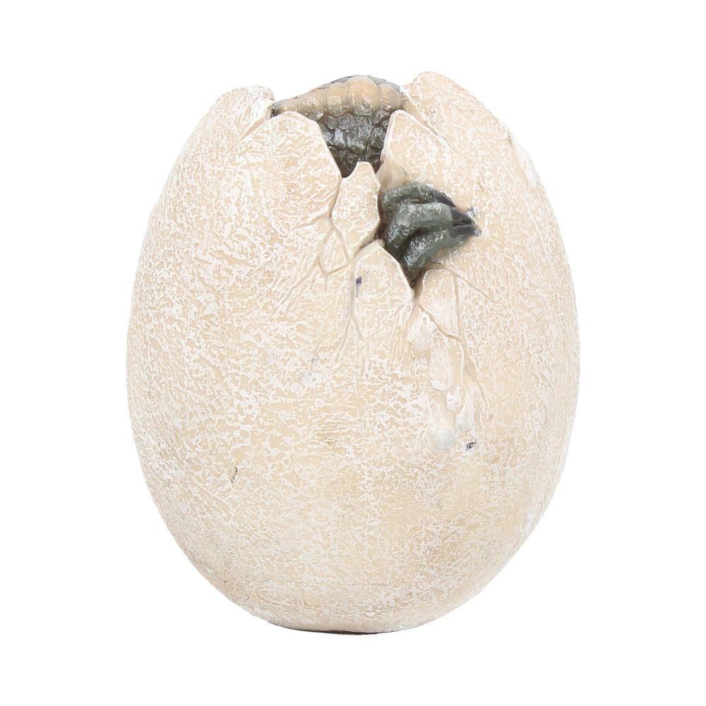 Nemesis Now - Wyrmlings Dragon Egg First Light