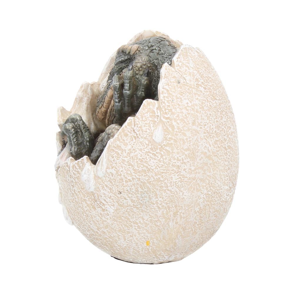 Nemesis Now - Wyrmlings Dragon Egg First Light