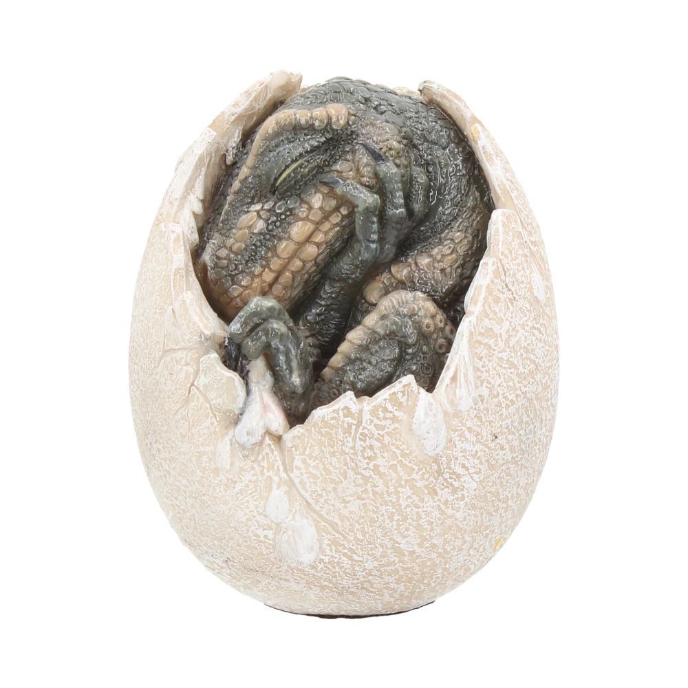 Nemesis Now - Wyrmlings Dragon Egg First Light