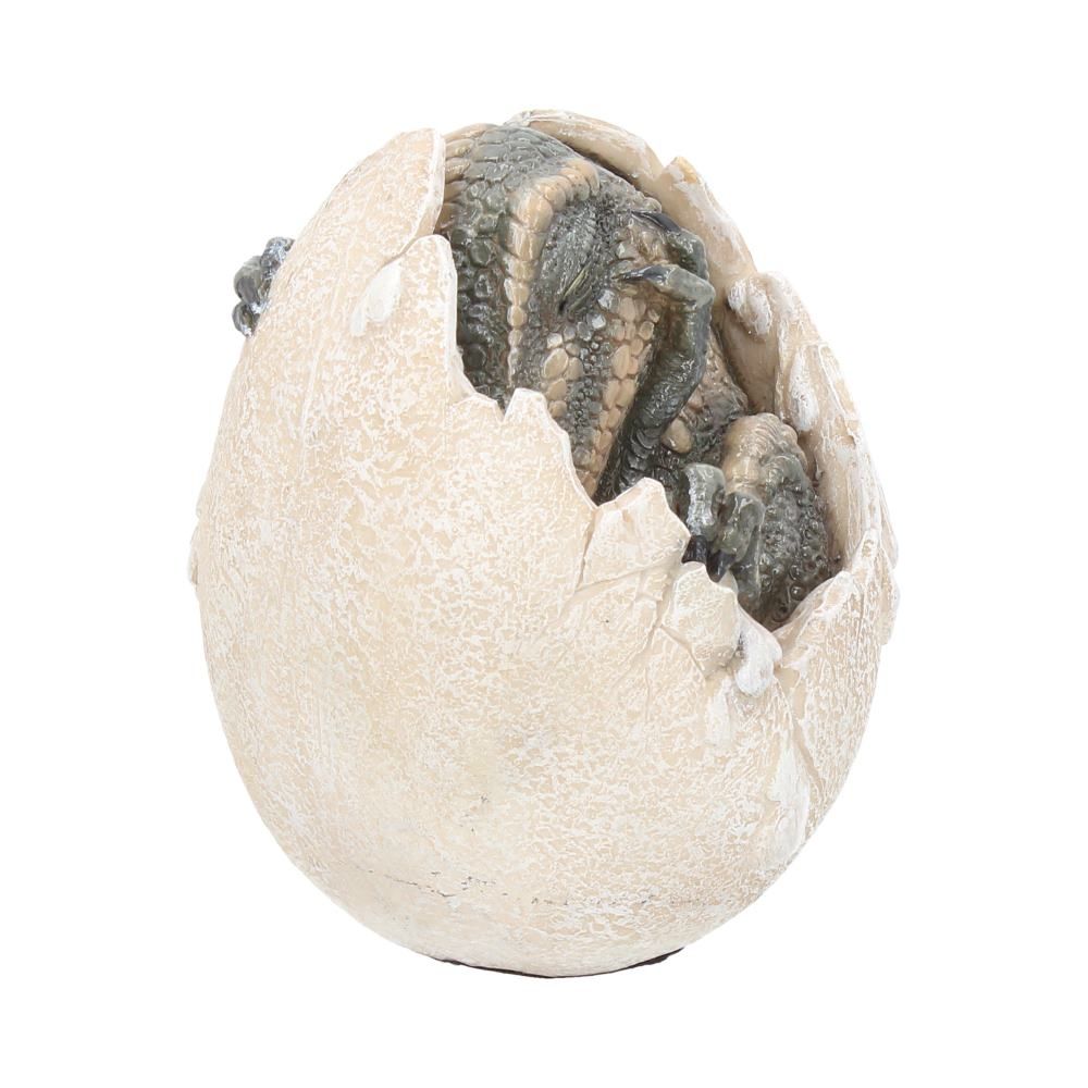 Nemesis Now - Wyrmlings Dragon Egg First Light
