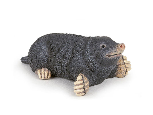 Papo - Mullvad