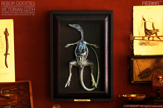 REBOR Oddities Compsognathus longipes Victorian Goth Stained Dissection Specimen Worldwide Limited Edition of 500