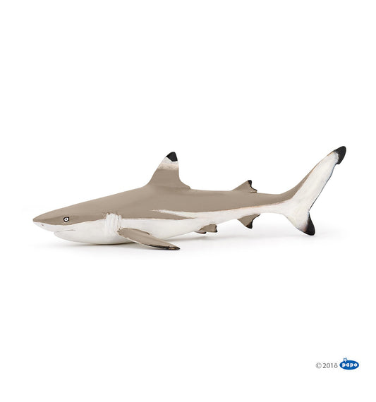 Papo - Svartfenad revhaj (Blacktip reef shark)