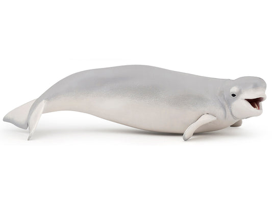 Papo - Vitval (Beluga)