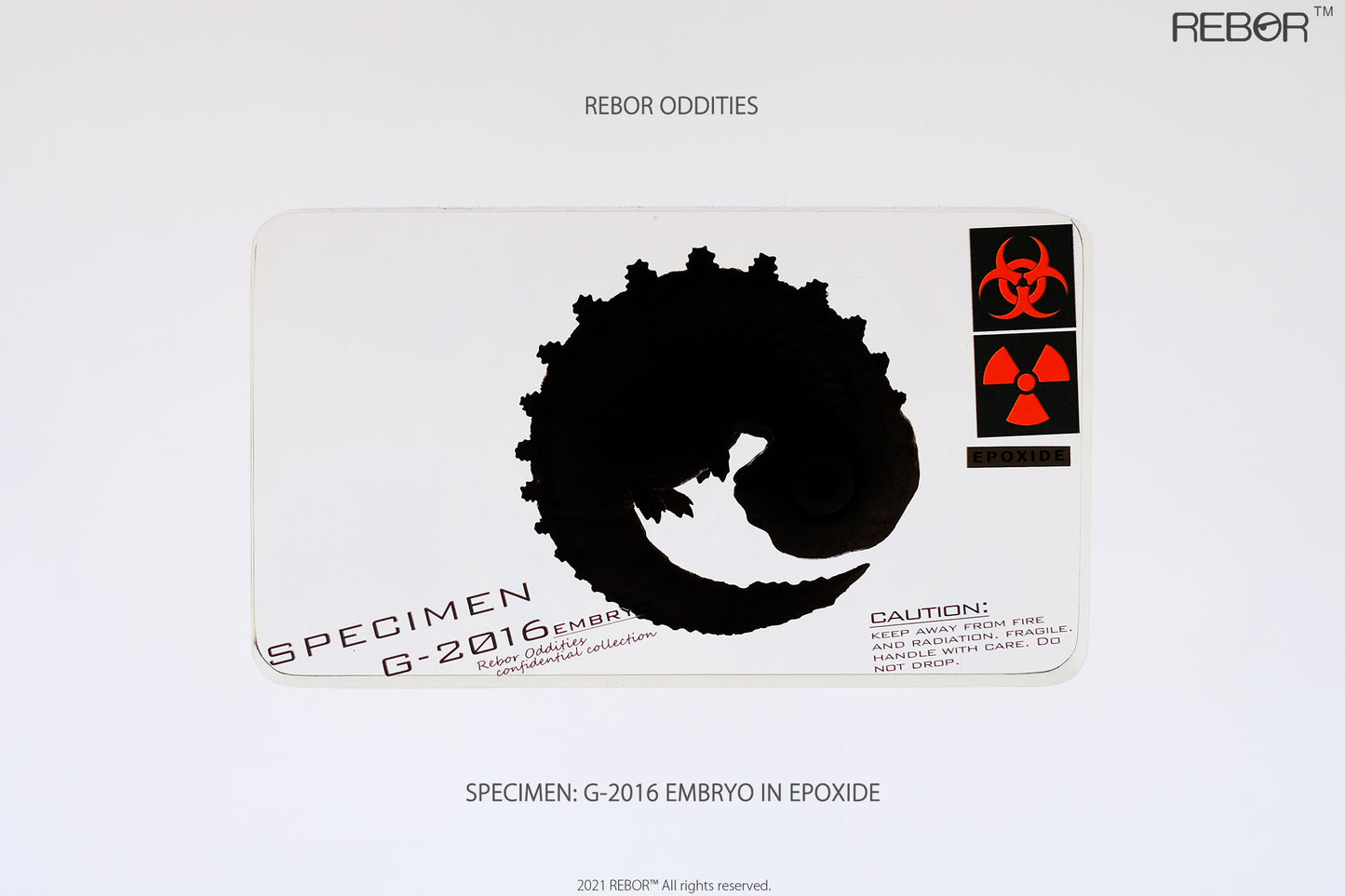 REBOR Oddities Specimen: G-2016 Embryo in Epoxide