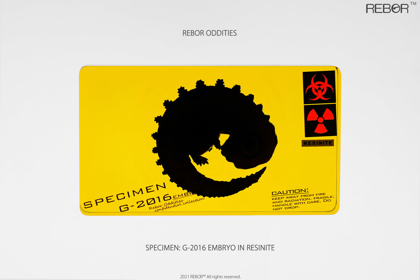REBOR Oddities Specimen: G-2016 Embryo in Resinite