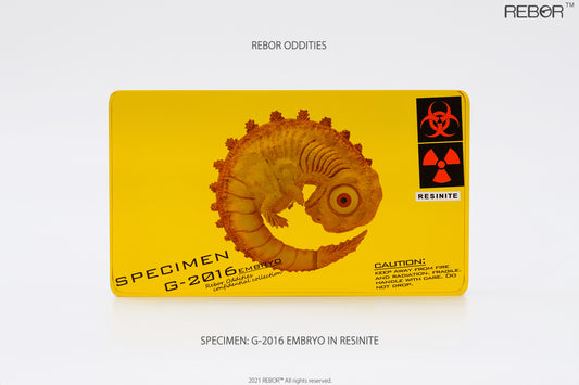 REBOR Oddities Specimen: G-2016 Embryo in Resinite