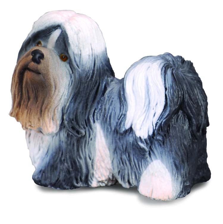 ColletcA - Shih tzu