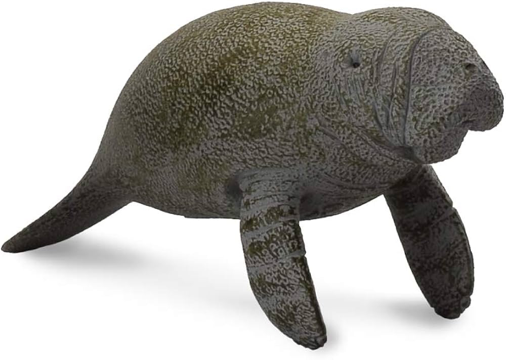 CollectA - Manat kalv (sjöko)