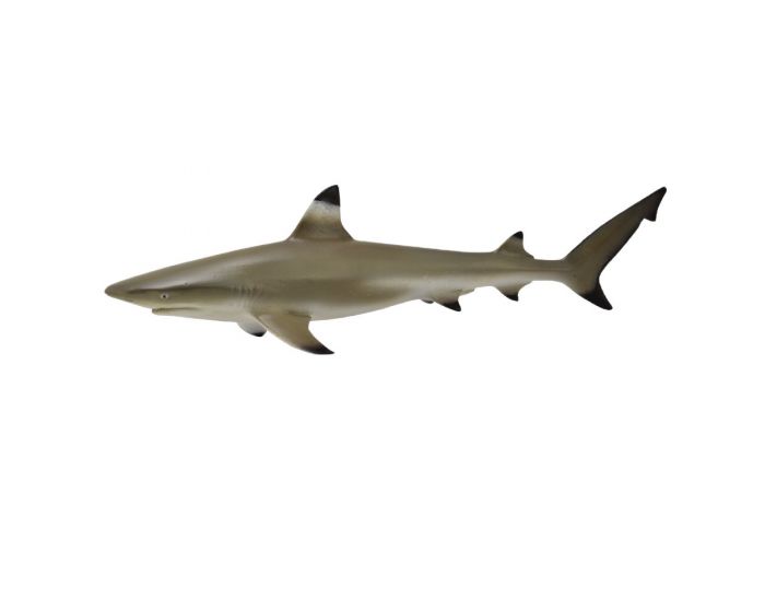 Collecta - Svartfenad revhaj (Blacktip reef shark)