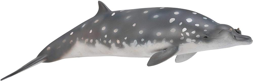 CollectA - Blainvilles näbbval