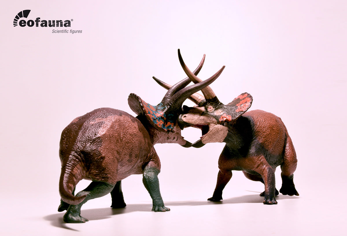 Eofauna - Triceratops sp (Dominant)