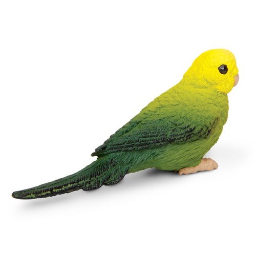 Safari Ltd - Green Budgie